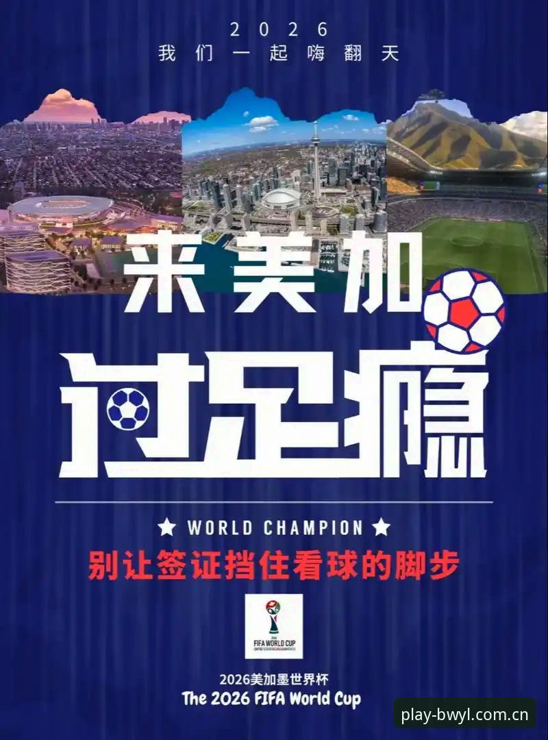 资深用户分享：世界杯观赛热潮遇冷背后的签证危机与平台体验心得